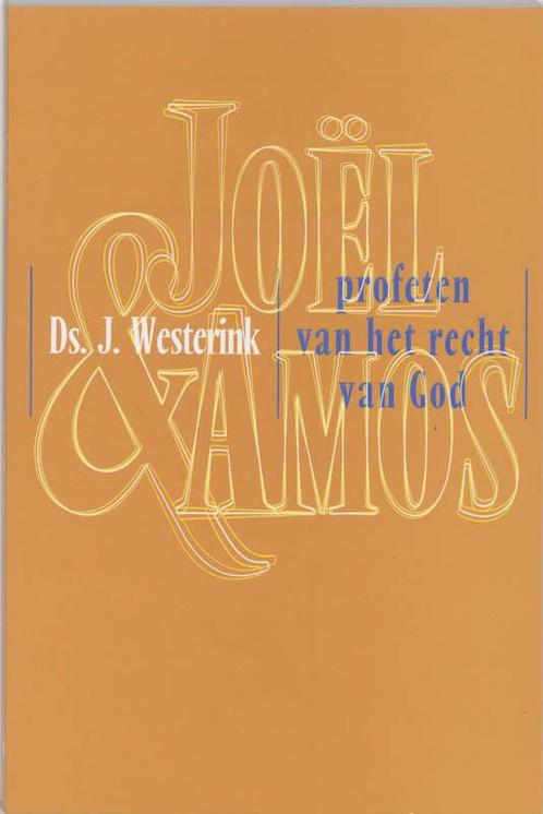 Joel en Amos / Telos / nr. 242 9789060647257 J. Westerink, Boeken, Godsdienst en Theologie, Gelezen, Verzenden