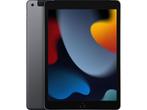 Apple iPad (2021) Wi-Fi + Cellular 256GB Grijs, Verzenden, Zo goed als nieuw