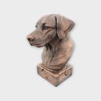 Bust of a rhodesian ridgeback statue - home decor dog lover, Verzenden, Nieuw
