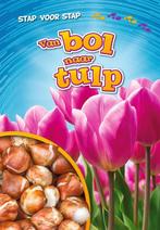 9789086648900 Stap voor stap - Van bol naar tulp, Boeken, Verzenden, Zo goed als nieuw, Rachel Grack