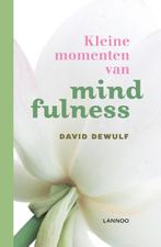 Kleine momenten van mindfulness 9789020942101 David Dewulf, Boeken, Gelezen, David Dewulf, Verzenden