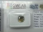 1 pcs Diamant (Natuurlijk gekleurd) - 1.43 ct - Cushion -, Nieuw