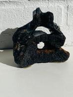 Wolharige mammoet - Fossiel wervelbot - Mammuthus