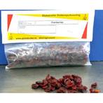 Cranberries - Globetrotter