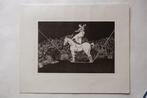 Francisco de Goya (1746-1828) after - PROVERBIOS: Königin, Antiek en Kunst