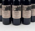 2023 Clementi Valpolicella Classico - Veneto - 12 Flessen, Nieuw