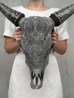 Geen minimumprijs - Grijze gegraveerde koe schedel met