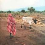 12 inch nieuw - Stalawa - In East Africa, Verzenden, Zo goed als nieuw