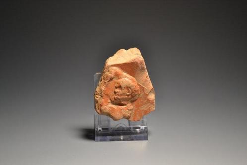 Oud-Romeins, Keizerrijk Terra Sigillata Gedeelte van een kom, Antiek en Kunst, Antiek | Overige Antiek