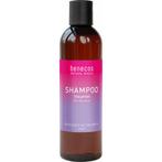 Benecos Natural Basics Shampoo Volume Organic Bamboo Extract, Nieuw, Verzenden