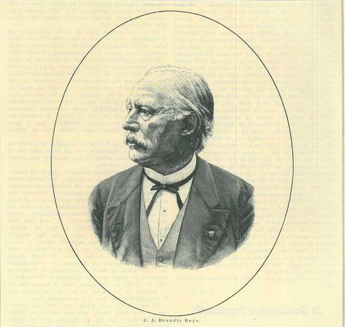 Portrait of Cornelis Alijander Brandts Buys, Antiek en Kunst, Kunst | Etsen en Gravures