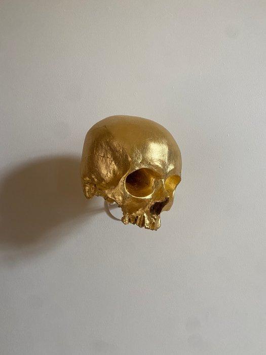 sylvain barberot - Skull #2, Antiek en Kunst, Kunst | Designobjecten