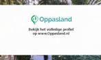 Ik ben Geesje en ik zoek oppaswerk in Venlo.
