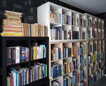 Opheffingsuitverkoop van Esthersboekenplank beschikbaar voor biedingen