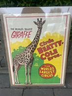 Clyde Beatty cole bros - Circus Poster clyde beatty cole