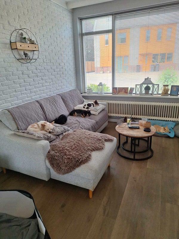 Te huur: Kamer Alphenseweg in Gilze, Huizen en Kamers, Kamers te huur