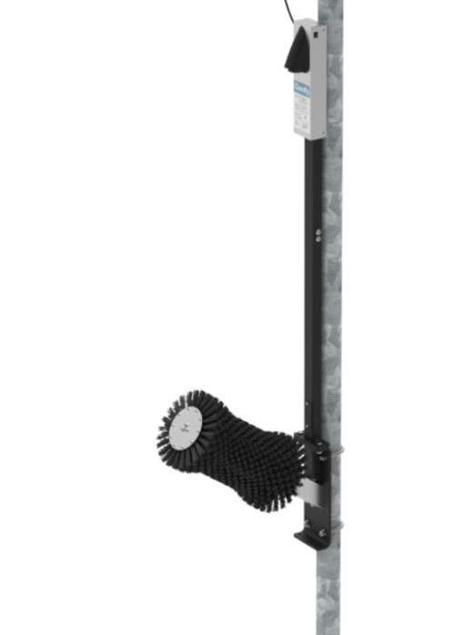 Elektrische geitenborstel Comfy Bristle Buddy - TIJDELIJK, Dieren en Toebehoren, Stalling en Weidegang