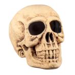 Halloween Schedel Masterbrain 47cm, Verzenden, Nieuw