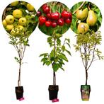 fruitbomen Appel Peer Kers + Pot 23cm 3 stuks, Tuin en Terras, Planten | Fruitbomen, Volle zon, Verzenden