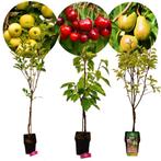 fruitbomen Appel Peer Kers + Pot 23cm 3 stuks, Volle zon, Verzenden