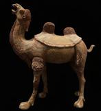 Oud Chinees, Tang-dynastie Terracotta Camel met Kotalla TL