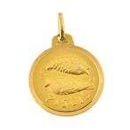 Munthanger - 18 karaat Geel goud