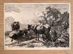 Paulus Potter (1625-1654) - The Cowherd, 1643