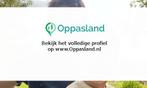 Ruben zoekt een oppas in Hilversum voor 1 kind op maandag.