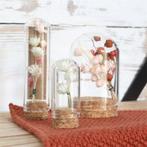 Mini dome ø2 h.4 cm set 12  stolpje met kurk voor geschenken, Hobby en Vrije tijd, Knutselen, Ophalen of Verzenden, Nieuw