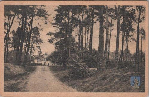 NUNSPEET - Groeten uit Nunspeet, Verzamelen, Ansichtkaarten | Nederland, Verzenden