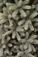 2dekans | Black Box Trees Nagoya Kunstkerstboom - H180 x, Ophalen of Verzenden, Zo goed als nieuw