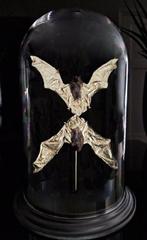 Zeldzame 24-karaats goud vervaardigde vleermuizen onder, Verzamelen, Dierenverzamelingen, Nieuw