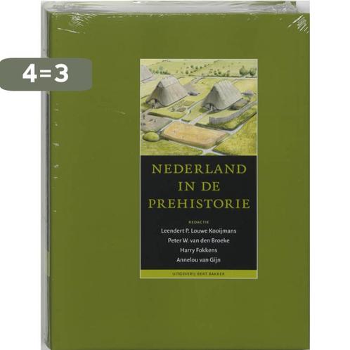 Nederland in de prehistorie 9789035124844 L. Kooijmans, Boeken, Geschiedenis | Vaderland, Gelezen, Verzenden