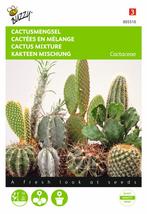 Cactus All Round Mengsel - Buzzy, Nieuw, Verzenden