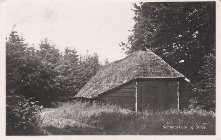 STROE - Schaapskooi te Stroe, Verzamelen, Ansichtkaarten | Nederland