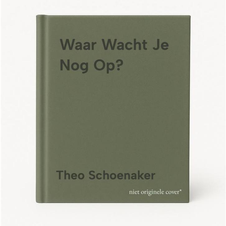 Waar Wacht Je Nog Op? 9789076907031 Theo Schoenaker, Boeken, Psychologie, Gelezen, Verzenden