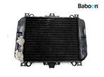 Radiateur Kawasaki KLE 500 2005-2007 (KLE500 KLE500B), Motoren, Verzenden, Gebruikt
