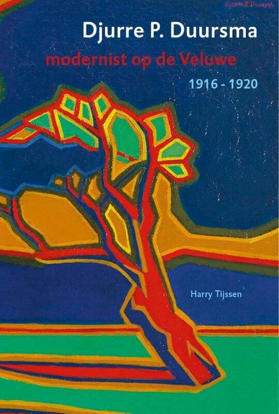Djurre P. Duursma - modernist op de Veluwe 1916-1920, Boeken, Overige Boeken, Ophalen of Verzenden