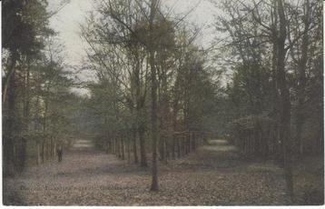 DIEREN - Laantjes naar den Carolinaberg beschikbaar voor biedingen