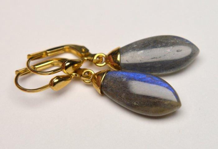 375 geel goud - Oorbellen - Labradorite, Sieraden, Tassen en Uiterlijk, Oorbellen