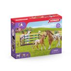Schleich Horse Club paarden trainin van €29,99 voor €23,99, Kinderen en Baby's, Ophalen of Verzenden, Nieuw