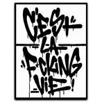 Asko - Cest La F*cking Vie - XXL Canvas - Graffiti Art