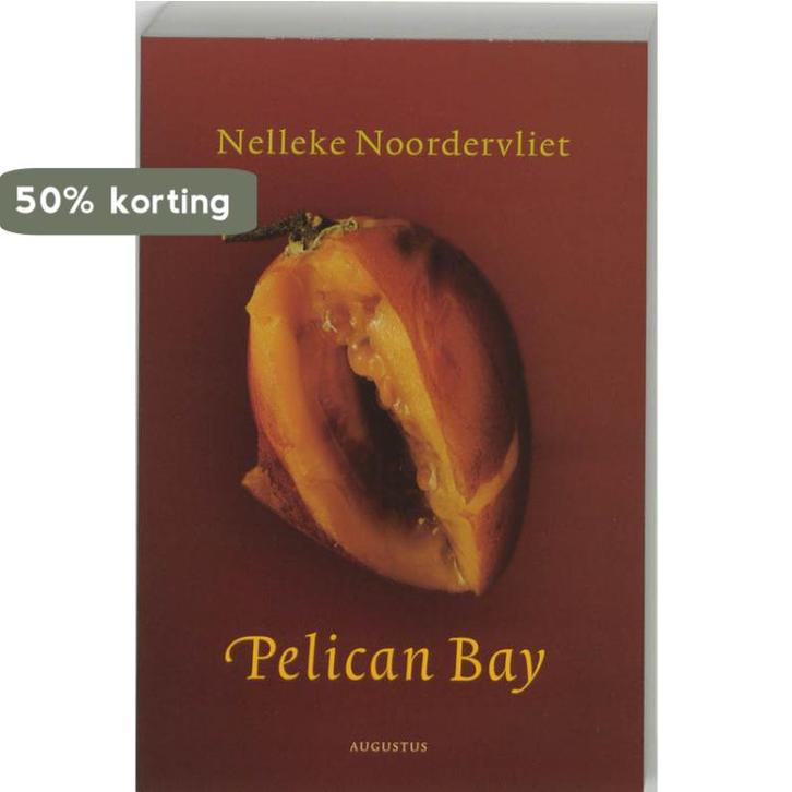 Pelican Bay 9789045700816 Nelleke Noordervliet, Boeken, Romans, Gelezen, Verzenden