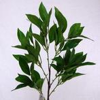 Shikibi Spray Light Groen Zijden tak, Ophalen of Verzenden, Nieuw