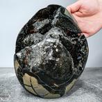 Prachtige natuurlijke septarische geode Met