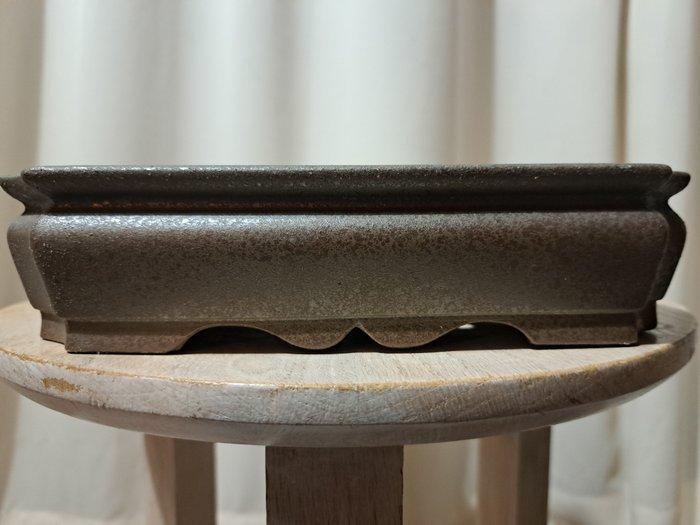 Bonsai schaal - 21x16x5cm - bruin geglazuurd - Hoogte, Antiek en Kunst, Curiosa en Brocante