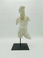 sculptuur, Torso di Poseidone - 48 cm - marmeren stof, Antiek en Kunst