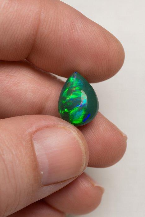 Opaal Negro Fuego Multicolor 4Ct - Light Ridge - Teardrop-, Verzamelen, Mineralen en Fossielen