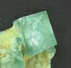 CW1933 Rara Fluoriet Kristallen op matrix - Hoogte: 62 mm -