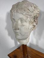 sculptuur, Antica scultura, calco accademico in gesso della
